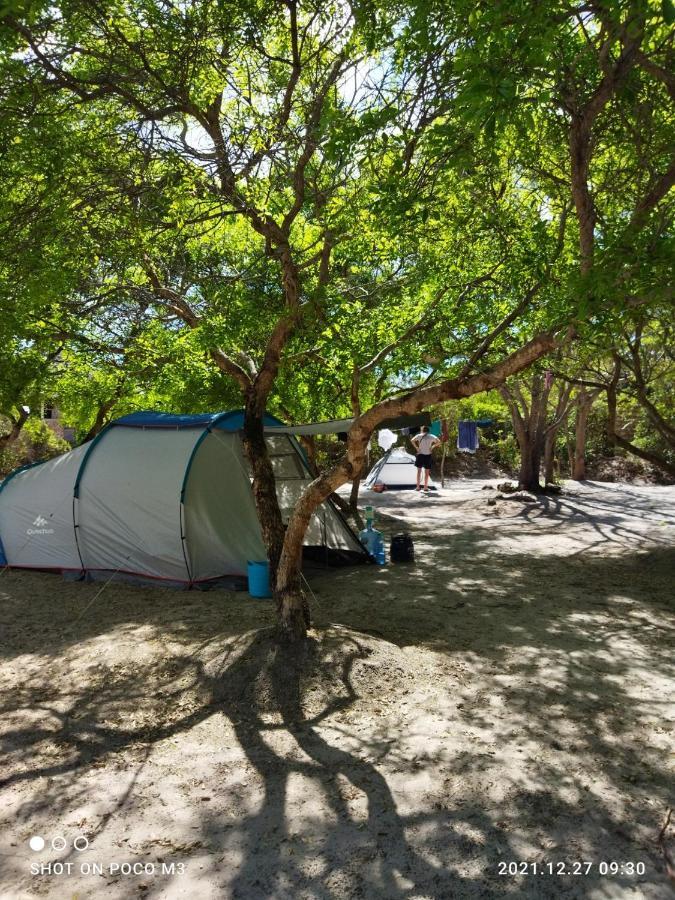 Mida Creek Eco Camp Bed & Breakfast Ватаму Екстериор снимка