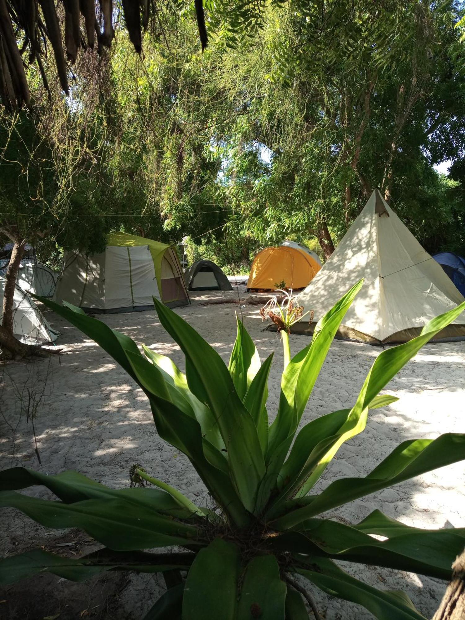 Mida Creek Eco Camp Bed & Breakfast Ватаму Екстериор снимка